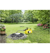 BP 5 Home & Garden