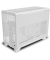 TR100 Snow White
