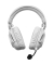 G Pro X 2 Lightspeed white