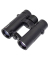 Braun Compagno          10x34 WP