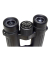 Braun Compagno          10x34 WP