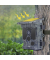 Fox 4K Wifi Wildkamera