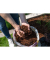 Mulch Pinienrinde extra fein 3x20l