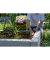 Mulch Pinienrinde extra fein 3x20l