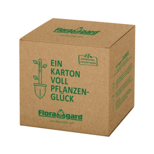 Floragard Mulch Pinienrinde fein 60l 4006398411745 Floragard 60000 Milliliter