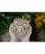 Mulch Miscanthus 125l