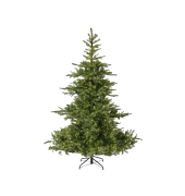 Weihnachtsbaum Everlands Grandis Tanne, 670124, 150x111cm (Hx&Oslash;), gr&uuml;n