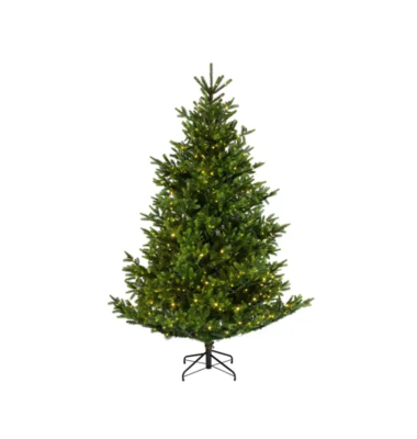 Weihnachtsbaum Everlands Nordmann Tanne, 670194, 210x150cm (Hx&Oslash;), gr&uuml;n