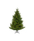Weihnachtsbaum Everlands Nordmann Tanne, 670194, 210x150cm (Hx&Oslash;), gr&uuml;n