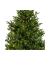 Weihnachtsbaum Everlands Nordmann Tanne, 670194, 210x150cm (Hx&Oslash;), gr&uuml;n