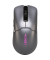 530 Legion M600s Wireless Gaming Mouse