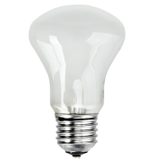 Einstelllicht 196V100W E 27