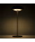 Broggi Nuvola Lampada Led Corten