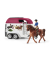 Horse Club        42535 Abenteuer m.Auto u.Pferdeanh&auml;nge