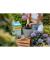 Gartenerde Hortensien blau 2x25l
