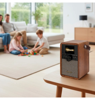 DR 710 DAB+UKW Radio mit ASA und integrierten Akku
