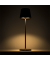 LED Dekolampe LUME Plus corten 2,2W 2700K Dimm.