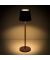 LED Dekolampe LUME Plus corten 2,2W 2700K Dimm.