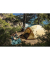 Darwin Summer 3 Plus