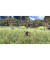 Switch 2 Xenoblade Chronicles: Definitive Edition