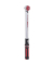 12 ERGOTORQUE 40-200 Nm Drehmomentschl&uuml;ssel