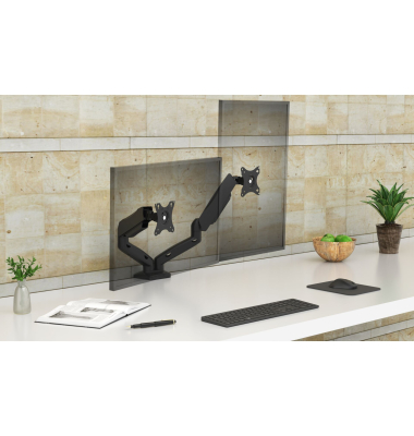 IB-MS204-T Monitorarm f&uuml;r zwei Monitore