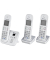 KX-TG6823GS perlsilber