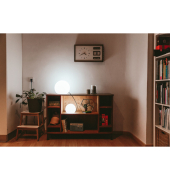 New Garden Buly 30 Cable white light