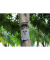 Owl Solar 4K Wifi Wildkamera
