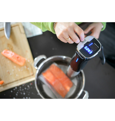 SV 50 Sous-Vide Stab