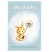 Freudiges Ereignis blau