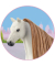 Sofia's Beauties 42651 Haare Beauty Horses Choco