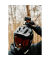 PINCLIP action cam mount