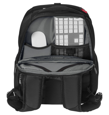 Professional 15.6' Rucksack mit Tablet-Fach Black