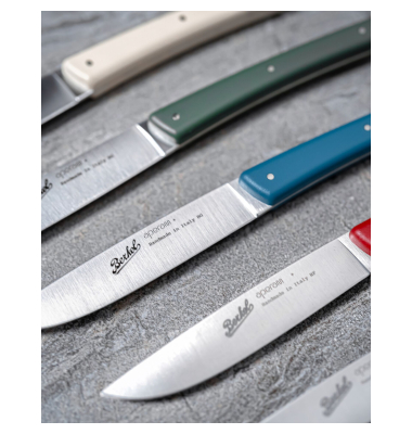 Steakmesser-Set 4-tlg. Color verde
