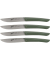 Steakmesser-Set 4-tlg. Color verde