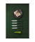 Steakmesser-Set 4-tlg. Color verde