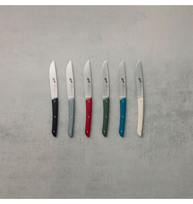 Steakmesser-Set 4-tlg. Color rosso