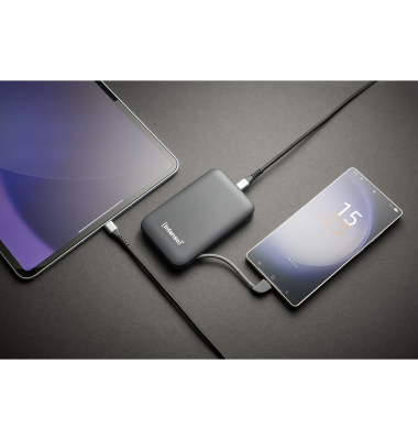 Powerbank 7333034, grau