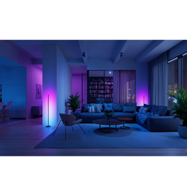 Matter Smart Multicolor Floor Lamp