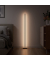 Matter Smart Multicolor Floor Lamp