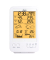 WS-4800 Professionelle Wetterstation mit Funksensor
