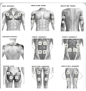 Perfect EMS Muskelstimulator