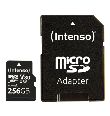 microSDXC 256GB C10 UHS-I Professional + Adapter