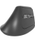 EV310M Dunkelgrau Wireless Ergonomic Mouse