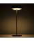 Broggi Nuvola Lampada Led AntrciteDark Grey