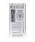 TR300 TG Snow White