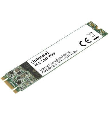 M.2 SSD TOP 1TB SATA III