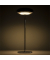Broggi Nuvola Lampada Led AcciaioChrome