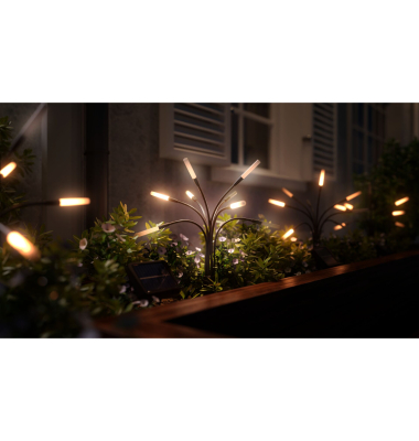 Solar LED Garden Lights - 2 PK